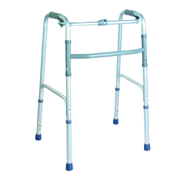 Deambulatore Fisso e/o...